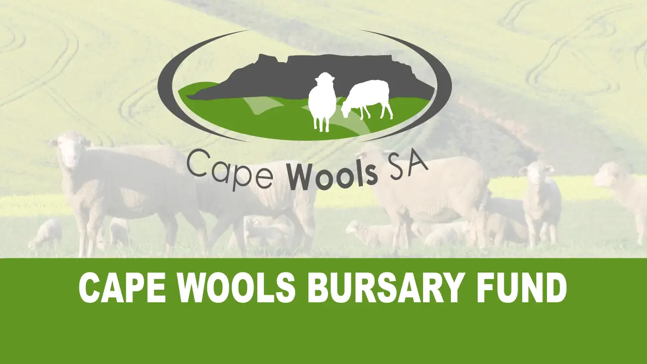 cape wool bursaries