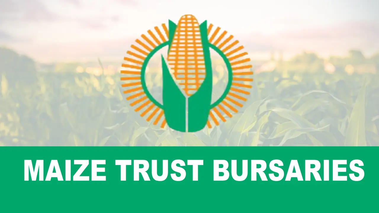 Maize Trust Bursaries