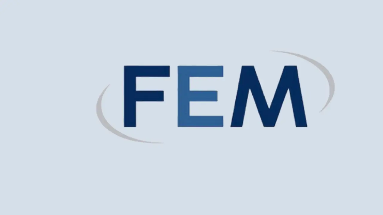 fem careers