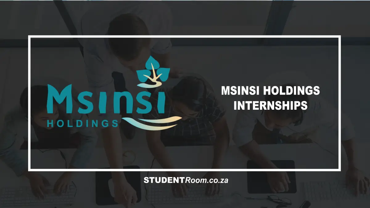Msinsi Holdings internshisp
